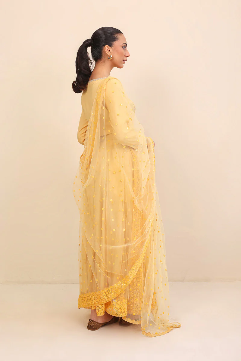 Pan Banaras Lehnga Set - Image 4