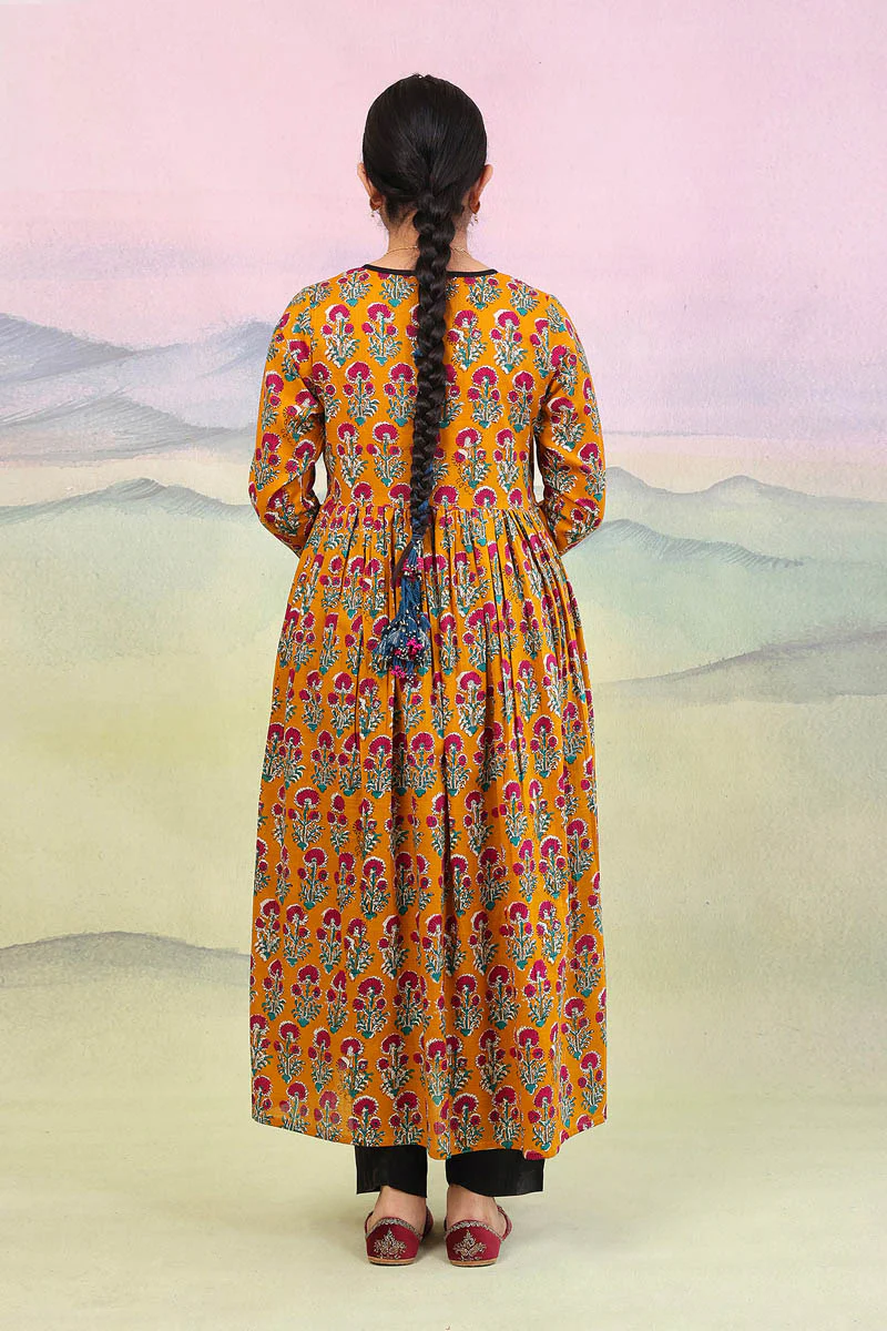 Pankhi Darbaar Dress - Image 4