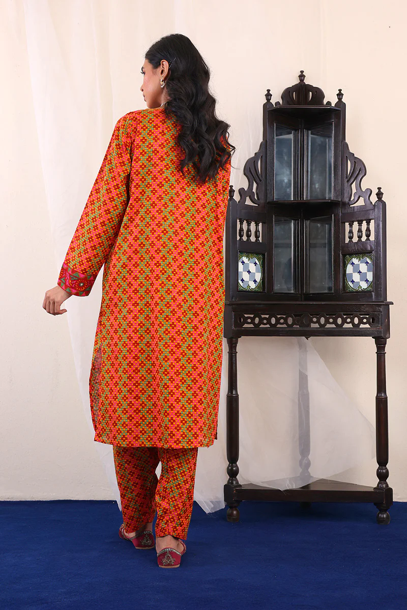 Banjara Printed Suit - Image 4
