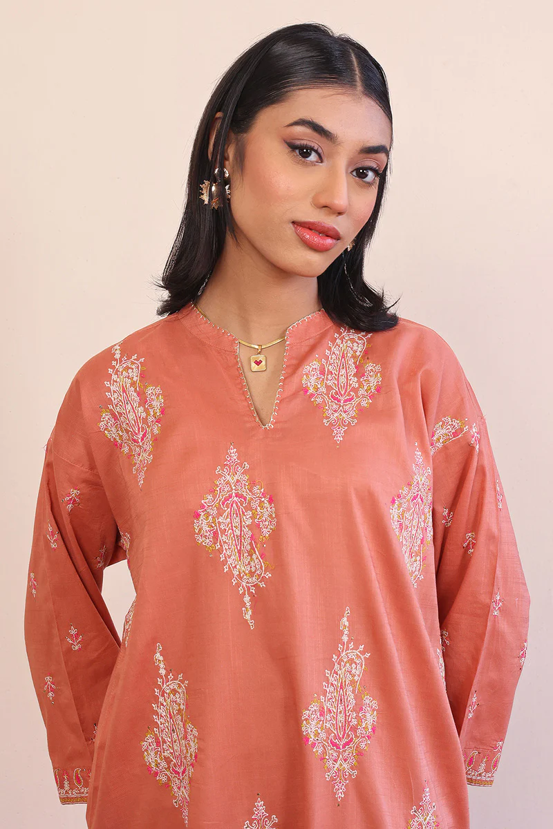 Rangeen Embroidered Set - Image 2