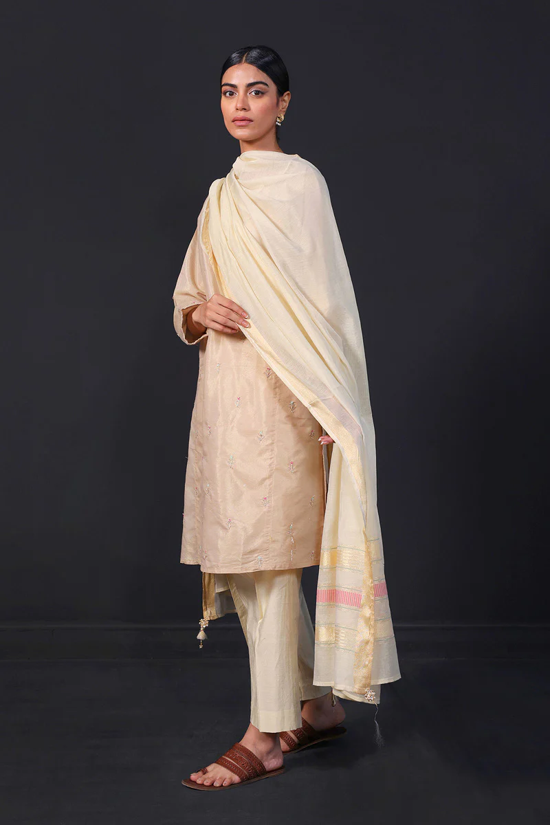 Desi Dreams Embroidered 1-Piece Kurta - Image 4