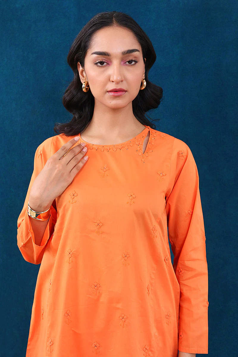 Rung e Bahaar Applique/Embroidered Set - Image 2