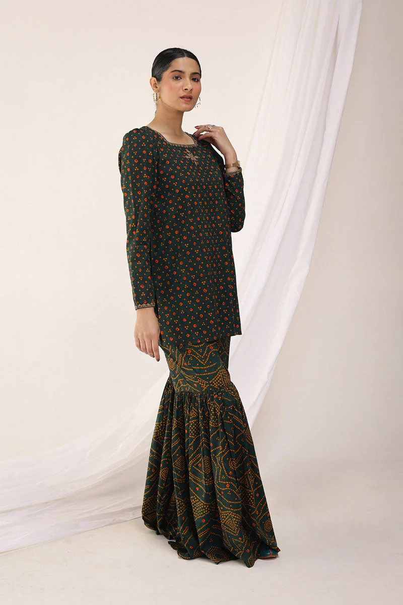 Bandhani Bliss Gharara Set - Image 24