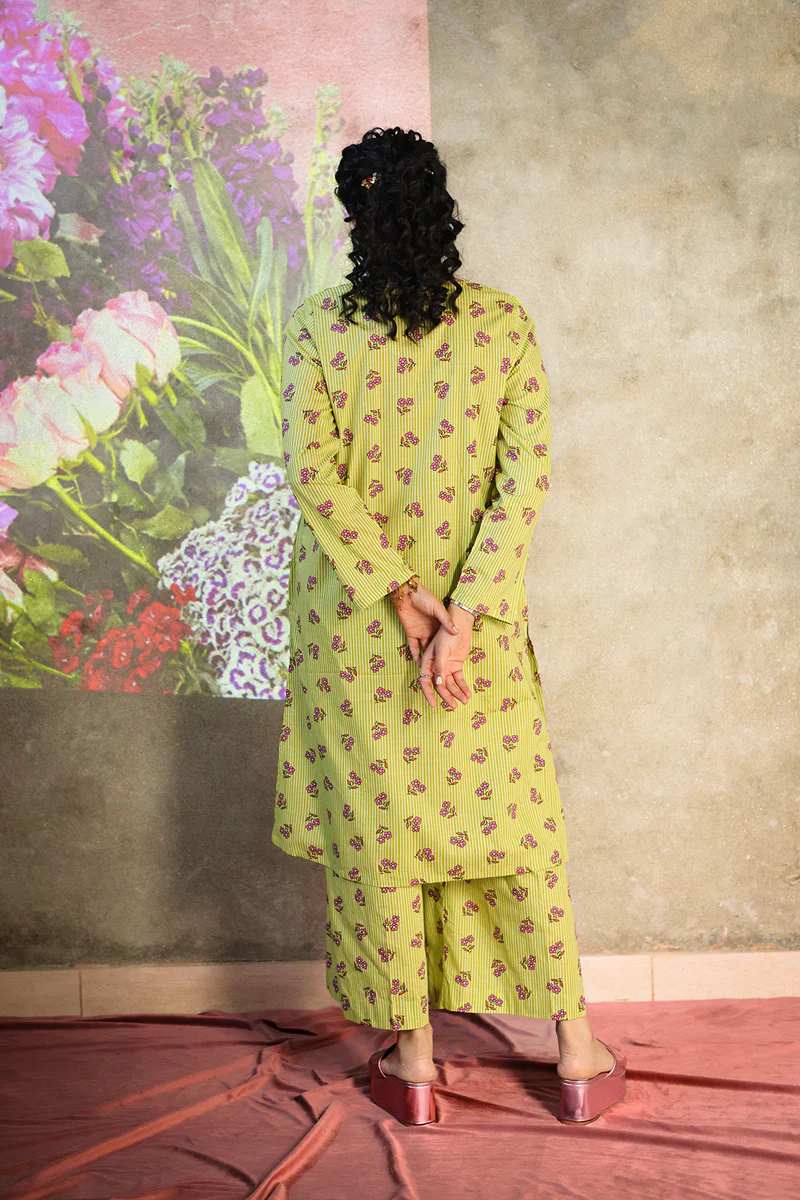 Phool Patti Raqs Suit - Image 13