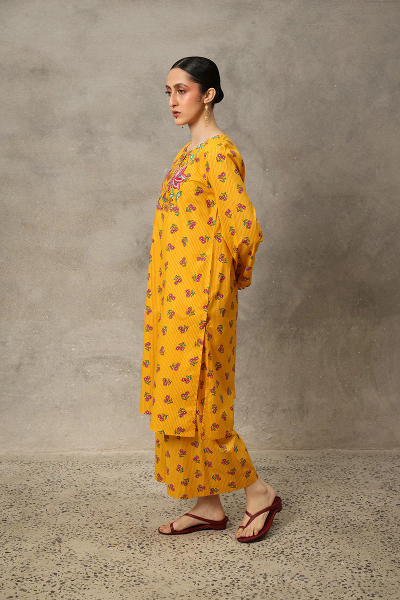 Phool Patti Raqs Suit - Image 15
