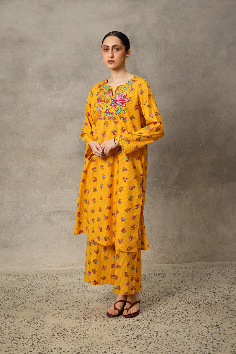 Phool Patti Raqs Suit - Image 17
