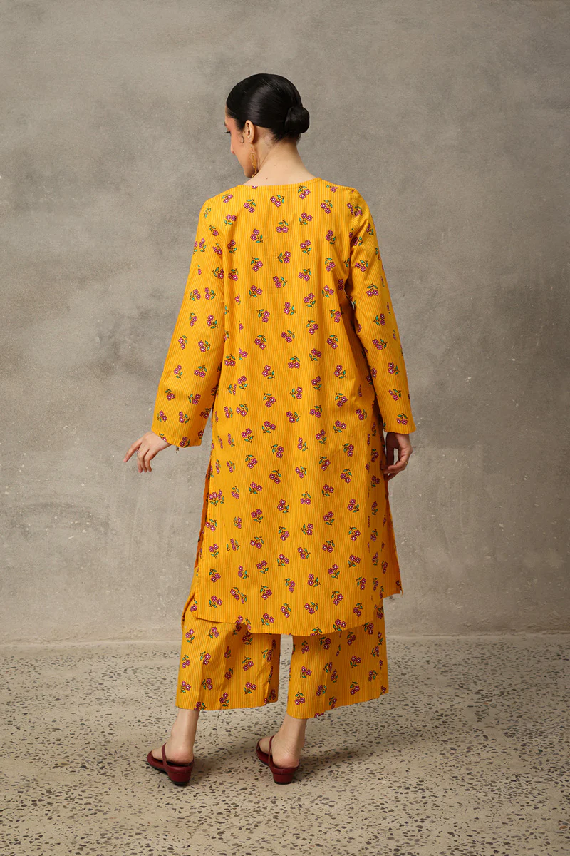 Phool Patti Raqs Suit - Image 9