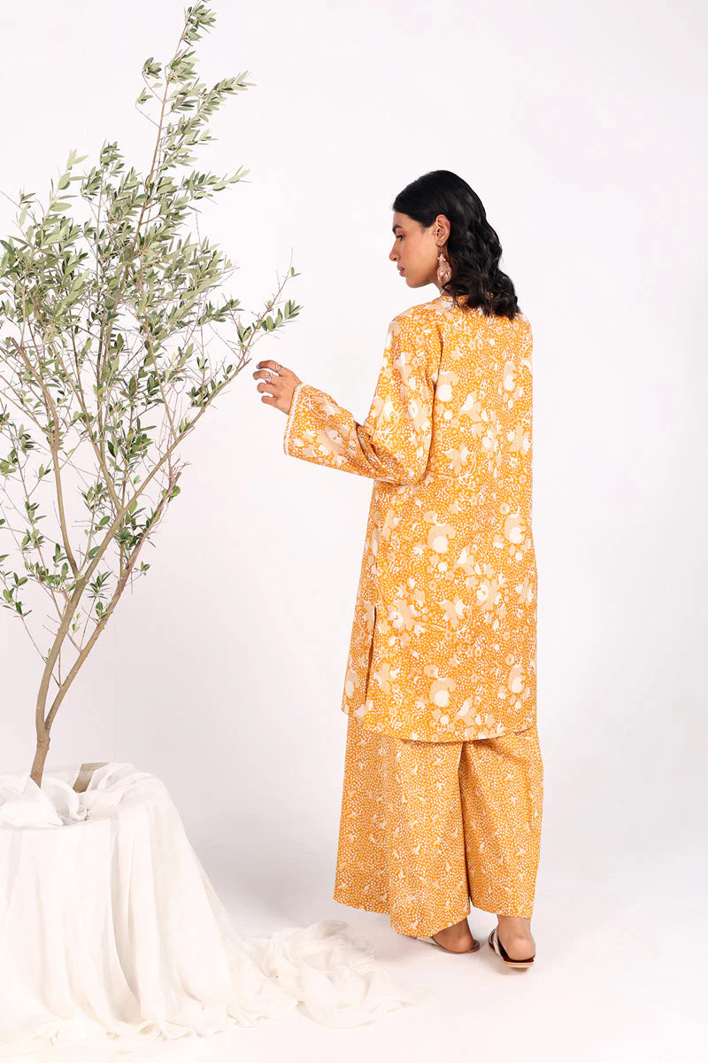 Coordinated Gul E Aqs Duo - Image 25