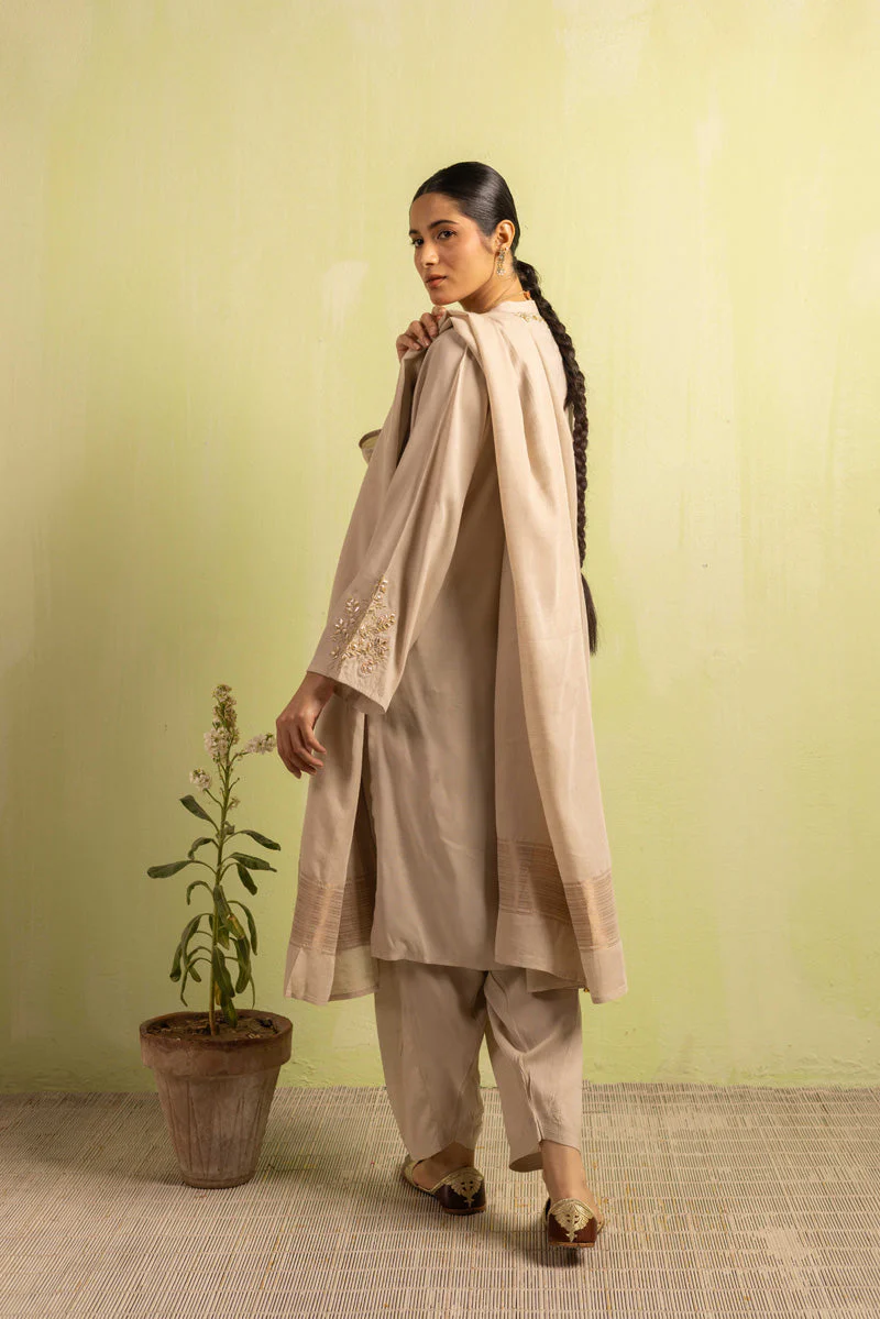 Zareen Zardar Suit - Image 12