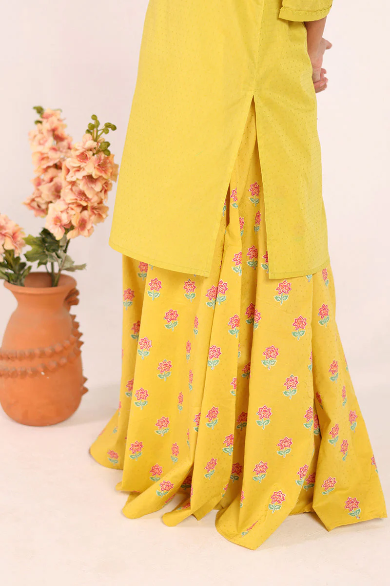 Block Printed Ferozan Sharara - Image 6