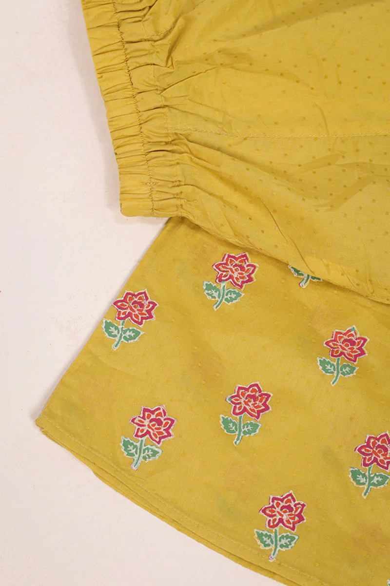 Block Printed Ferozan Sharara - Image 7