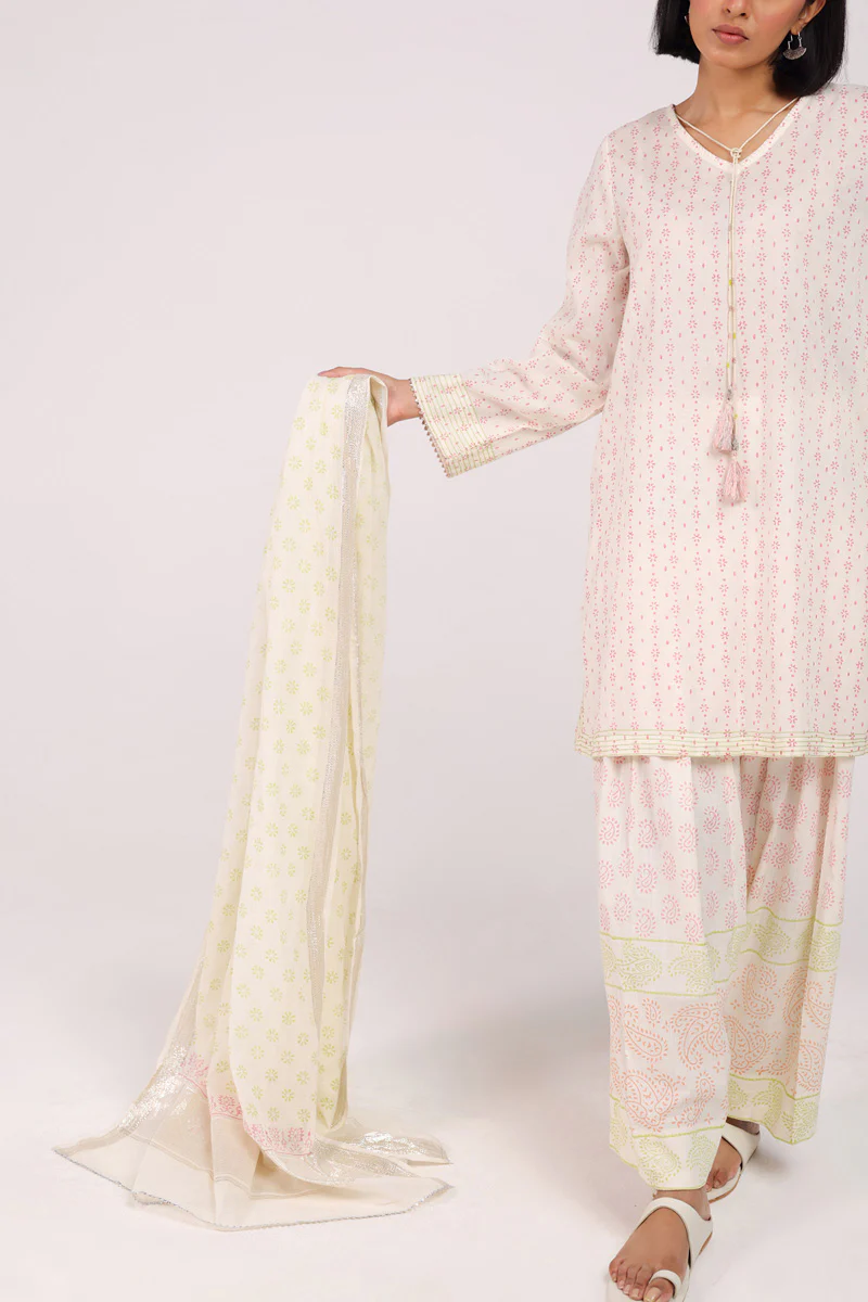 Anarkali Block Grace 3 Piece Suit - Image 4
