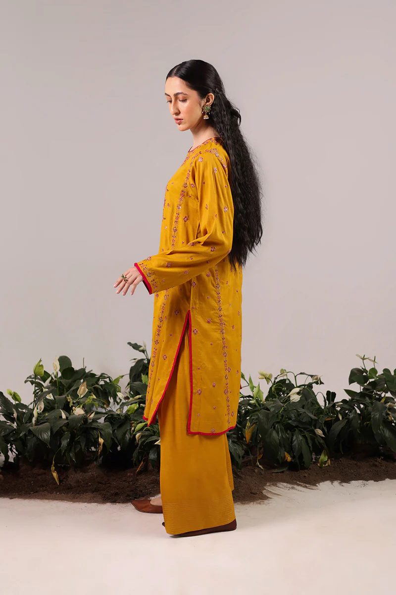 Gulastari Raqs Ensemble - Image 3
