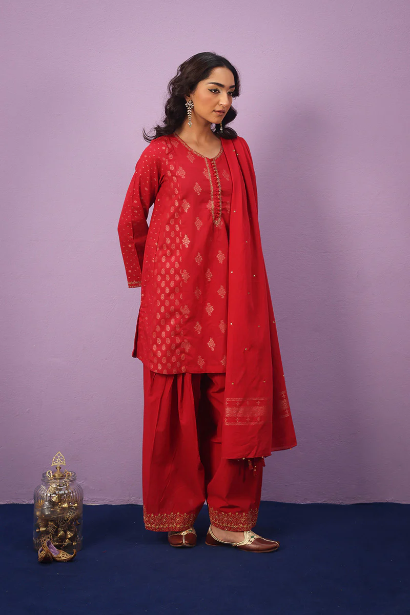 Raat ki Rani Zerwesh Suit - Image 2