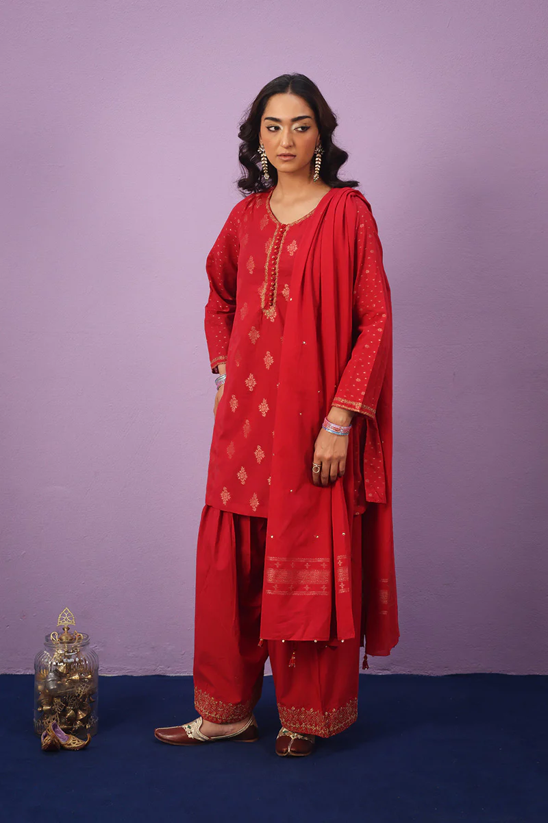 Raat ki Rani Zerwesh Suit - Image 4