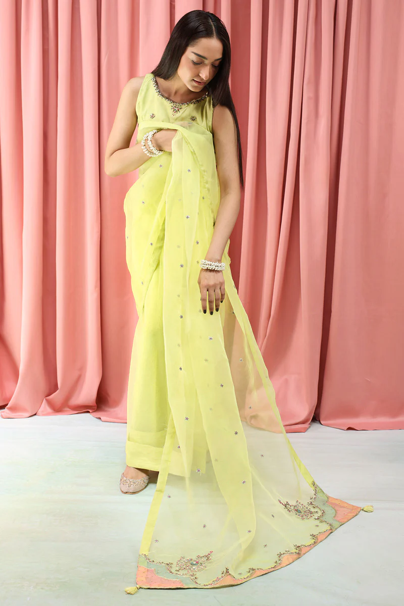 Mahrani Embroidered Nur Saree - Image 6