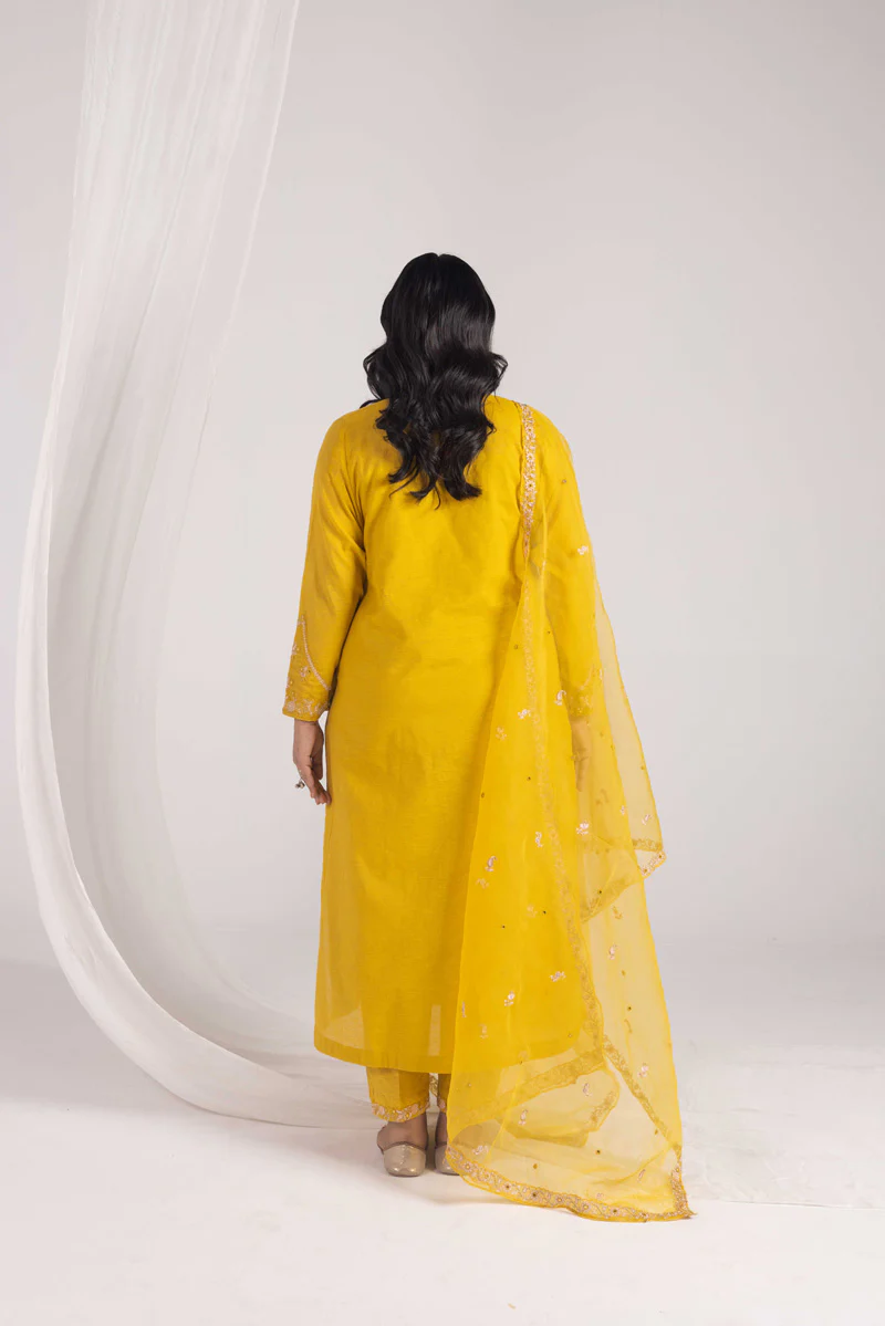 Opulent Glitz Panni 3 Piece Suit - Image 5