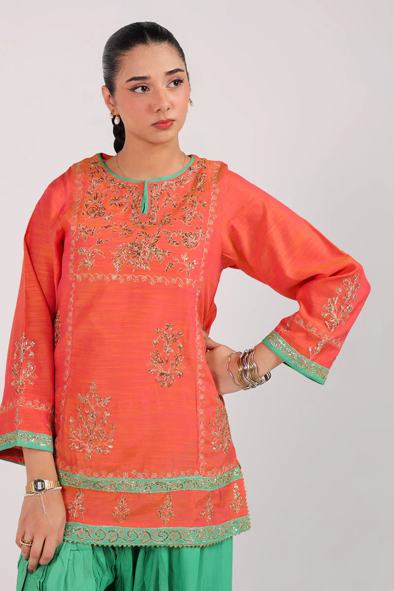 Shoukh Rang Zardozi Set - Image 4