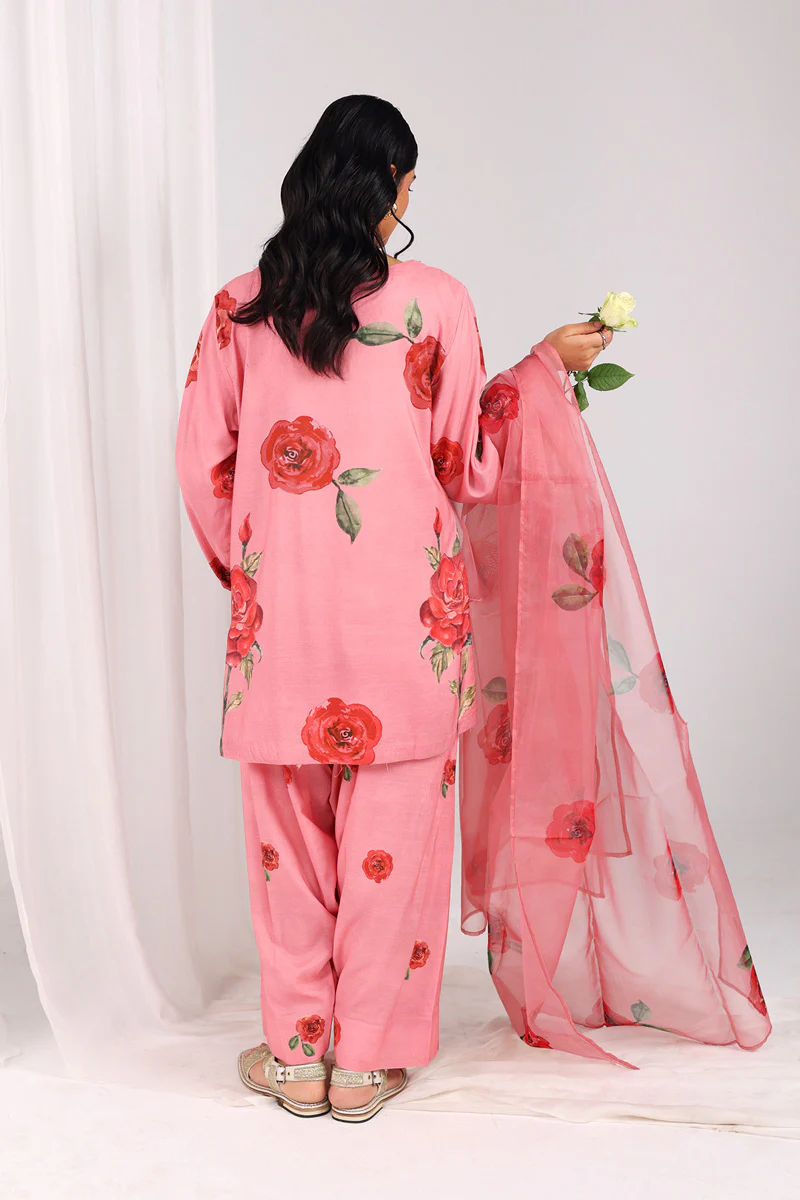 Bahar Phool Rang & Dastaan 3 - Image 5