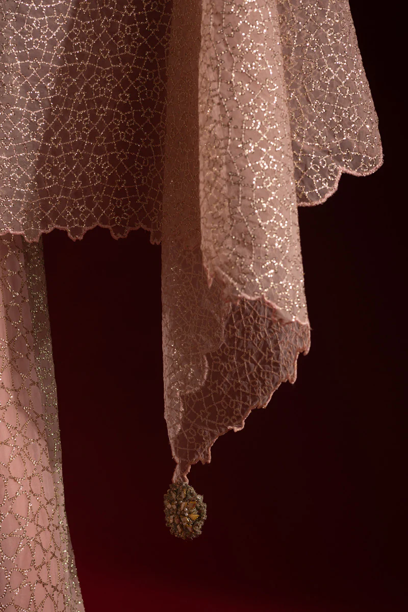Raqs-e-Nur Anarkali Ensemble - Image 17