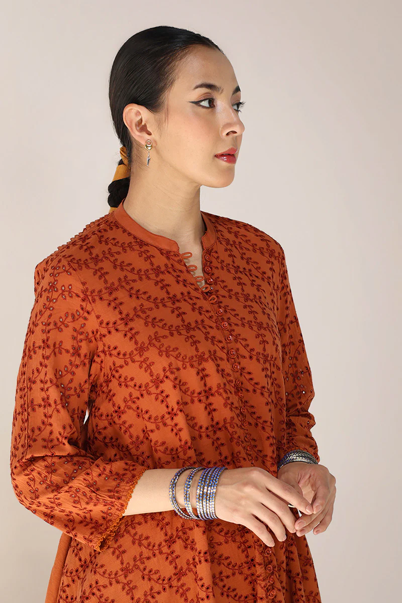 Spring Fling Schiffli Frock - Image 11