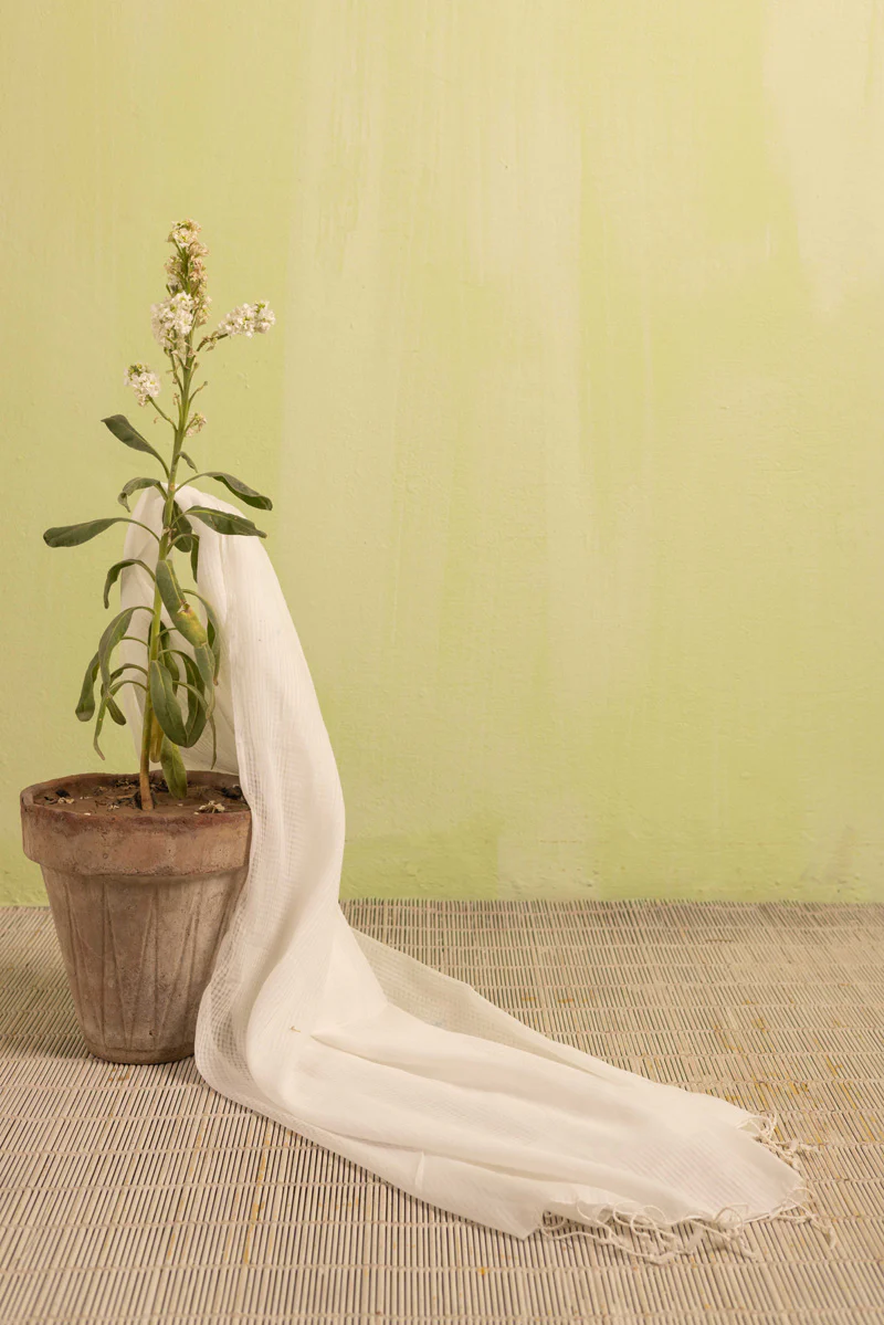 100% Pure Cotton Dupatta - Image 2