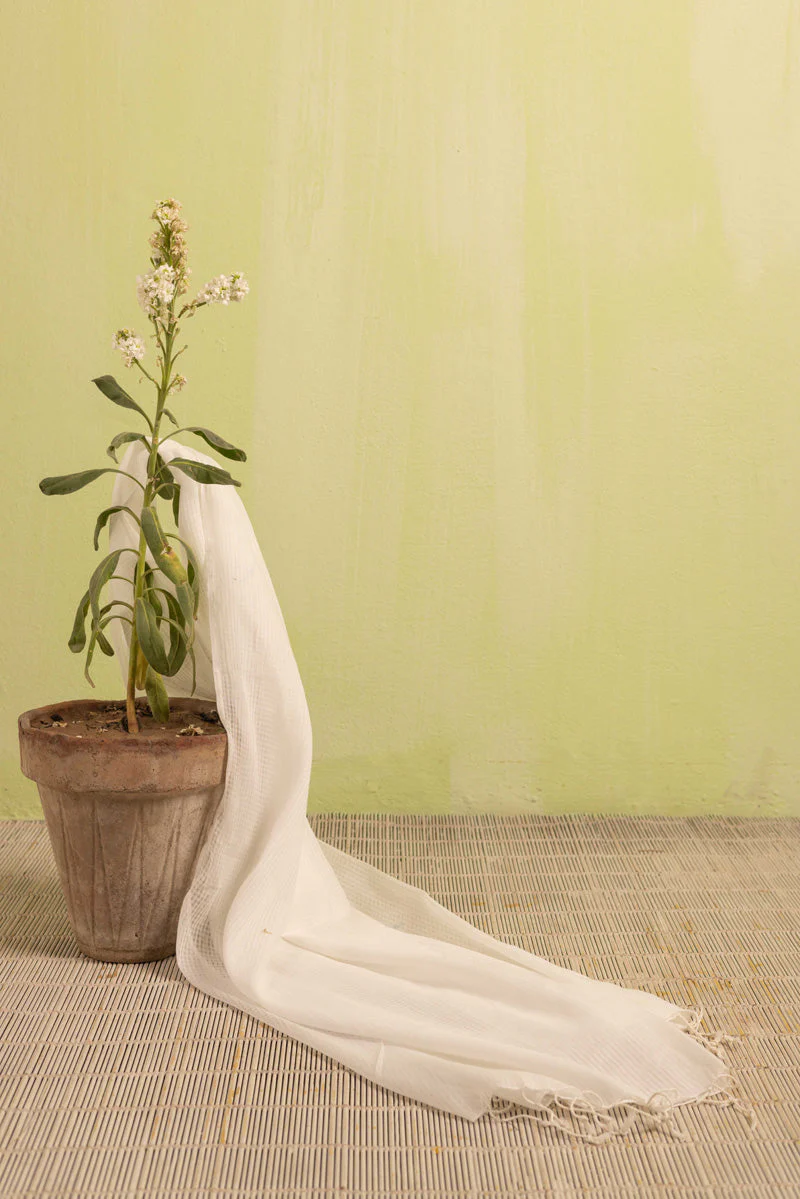 100% Pure Cotton Dupatta - Image 5