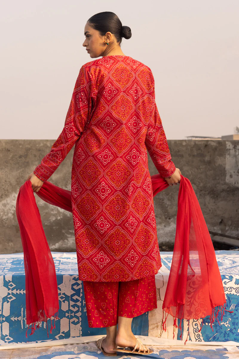 Chunari Hearts Printed Set - Image 4