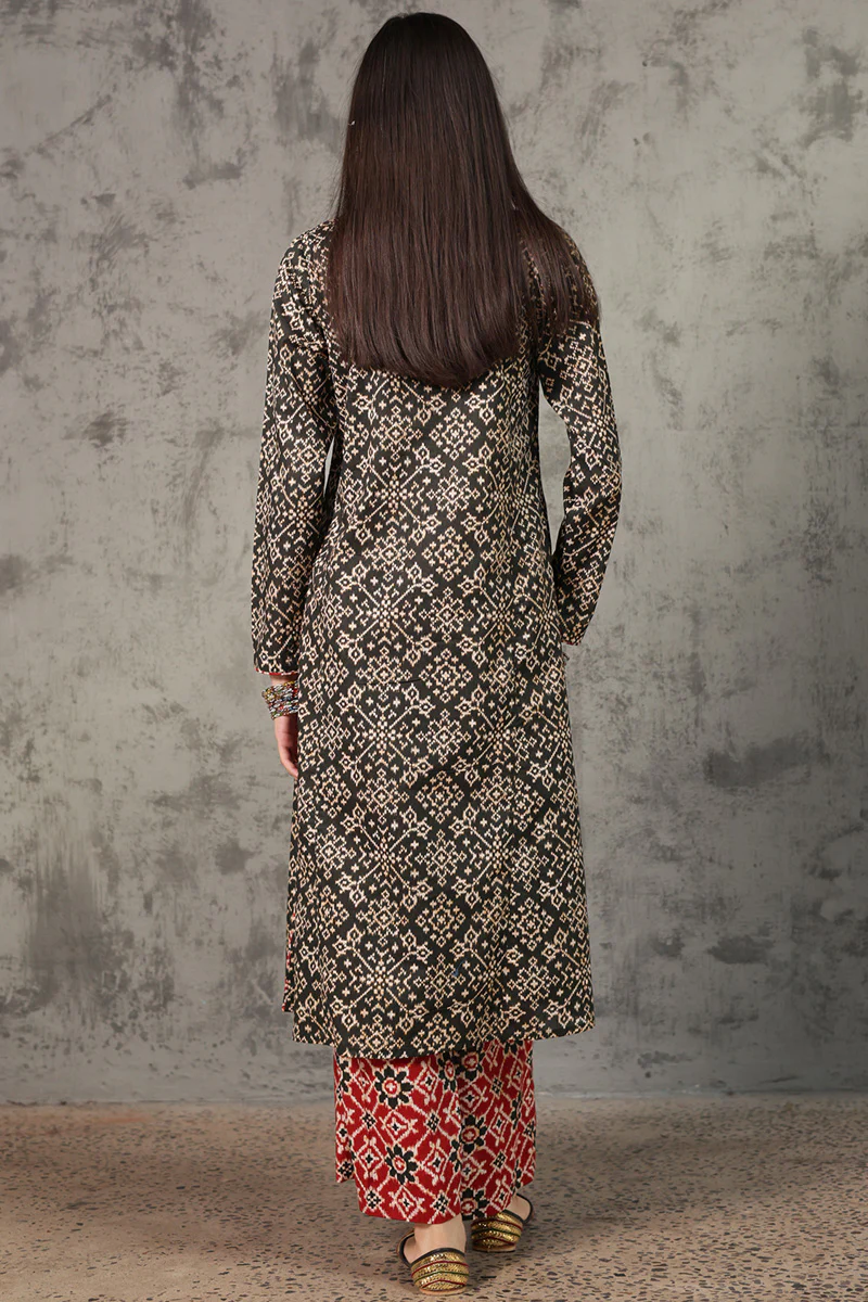 Rang Patola Printed Set - Image 4