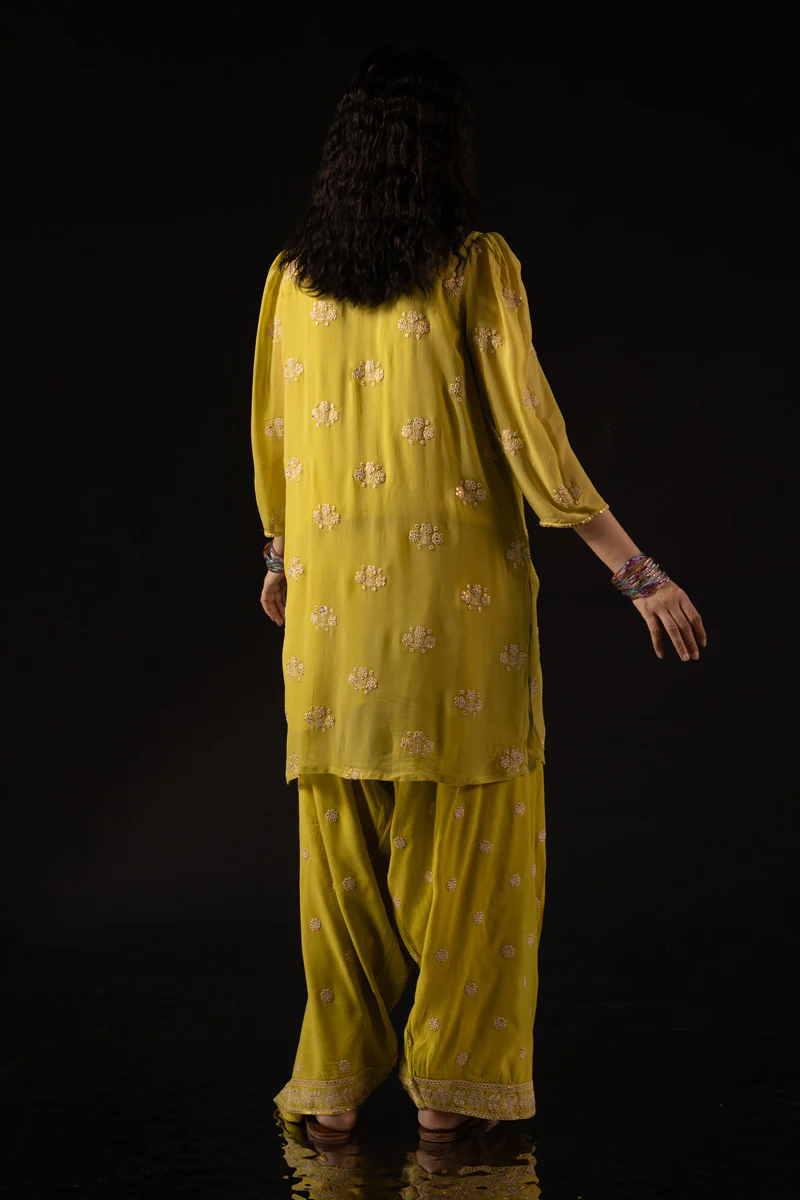 Phool Panni Embroidered Set - Image 9
