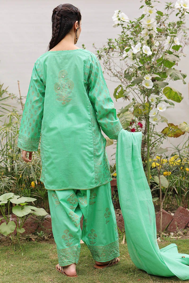 Rang-e-Jamni Farshi Set - Image 12