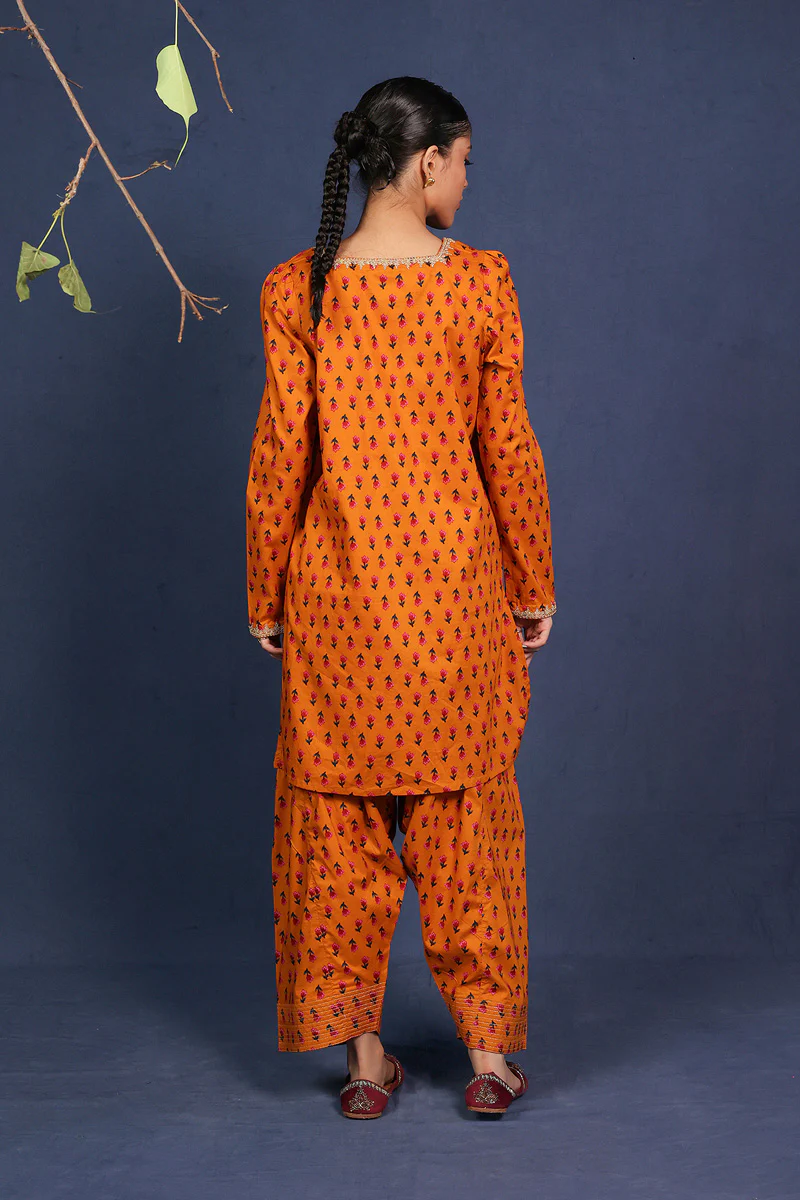 Gul-e-Noor 2 Piece - Image 14