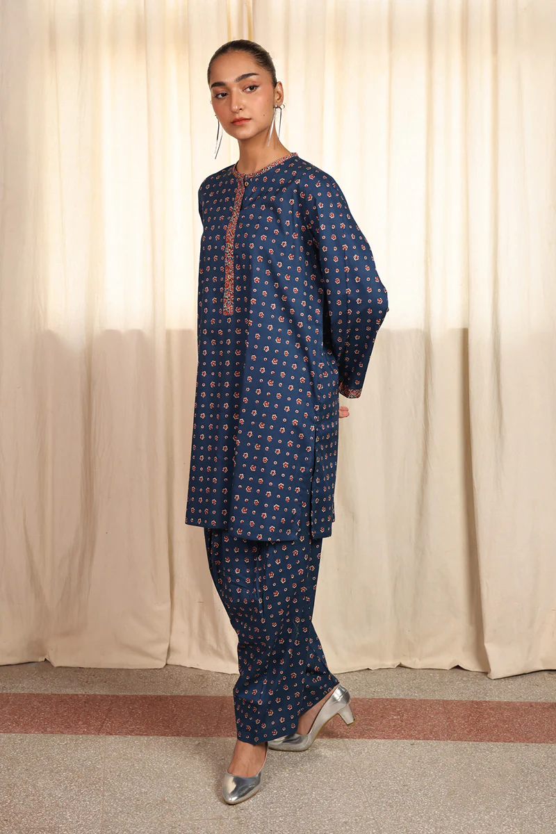 Printed Bagru 2 Piece - Image 6