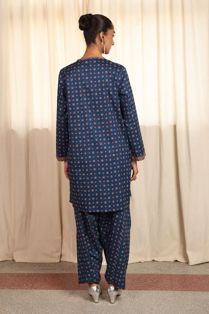 Printed Bagru 2 Piece - Image 8