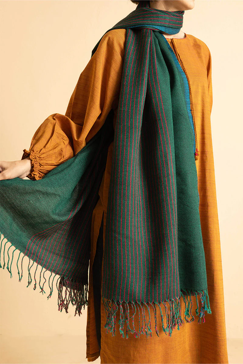 Vibrant Yarn Dyed Shawl - Image 40