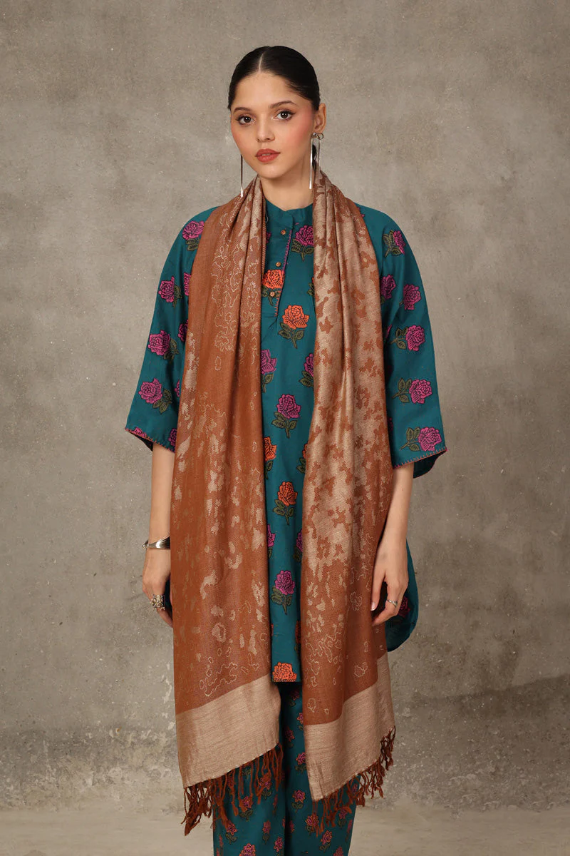 Fall Vibes Shawl - Image 20