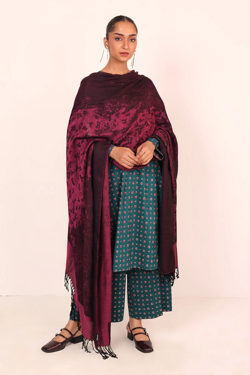 Fall Vibes Shawl - Image 4