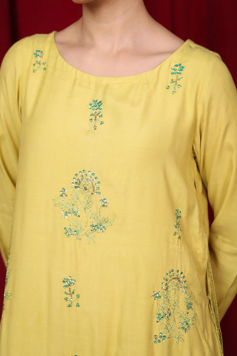 Beetlewing Crafted Kurta - Image 3
