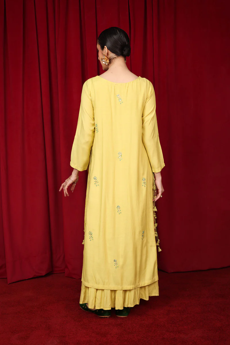 Beetlewing Crafted Kurta - Image 4