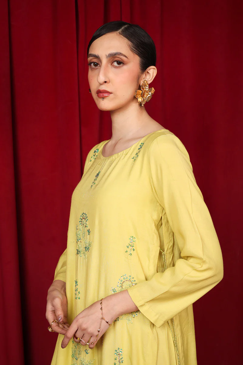 Beetlewing Crafted Kurta - Image 6
