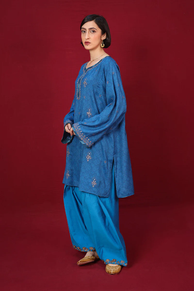 Aari Glam Sanat Suit - Image 5