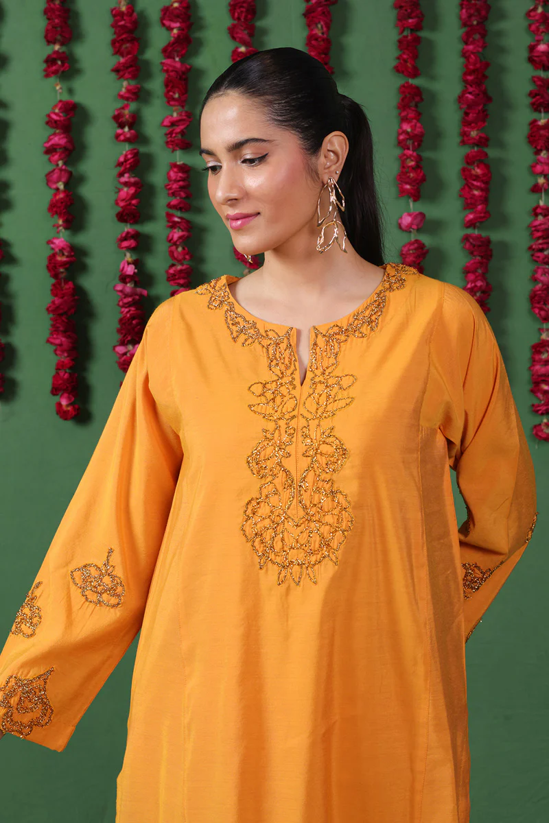 Nawabi Gota Raqs Duo - Image 2