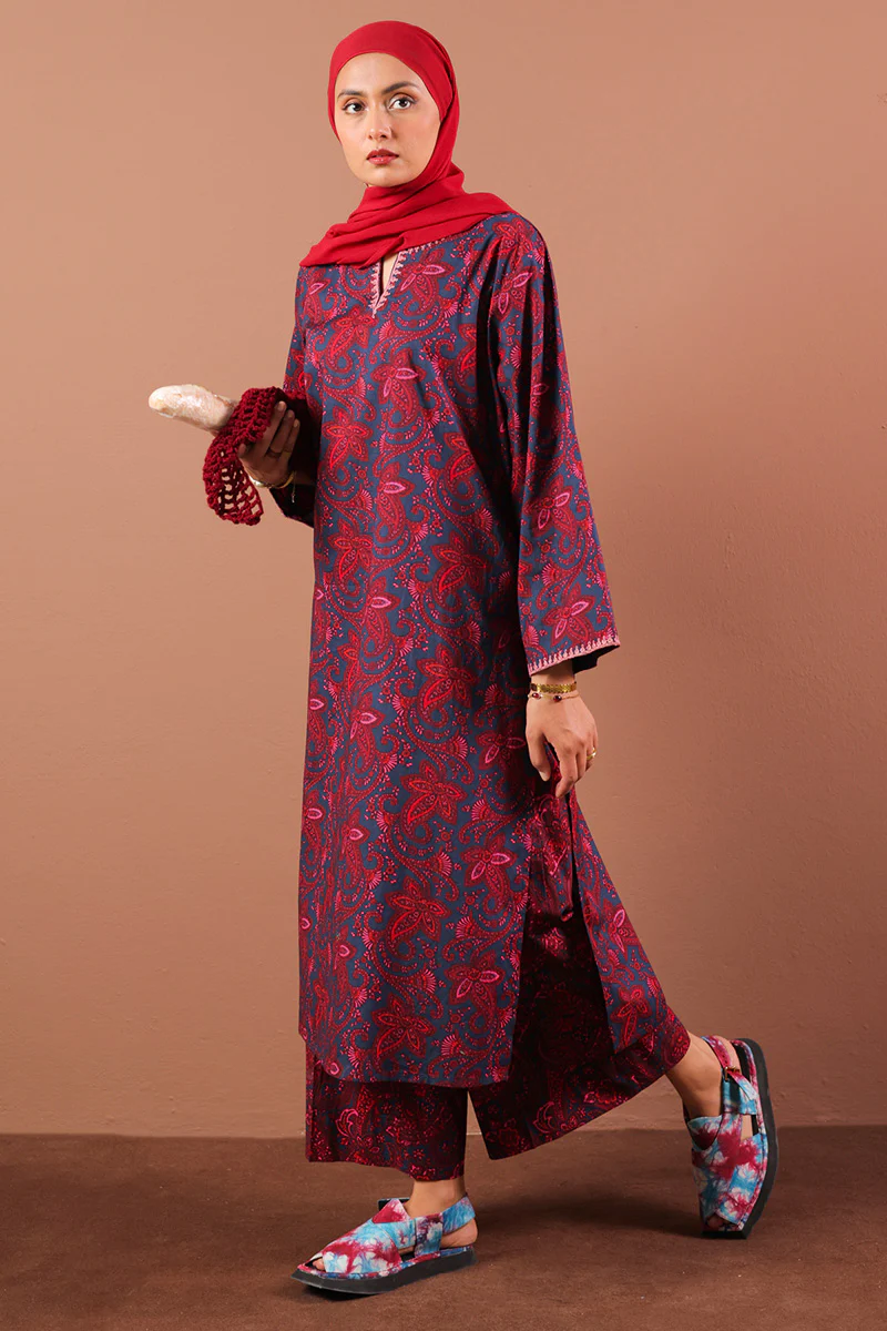 Embroidered Paisley Pop Echo Set - Image 6