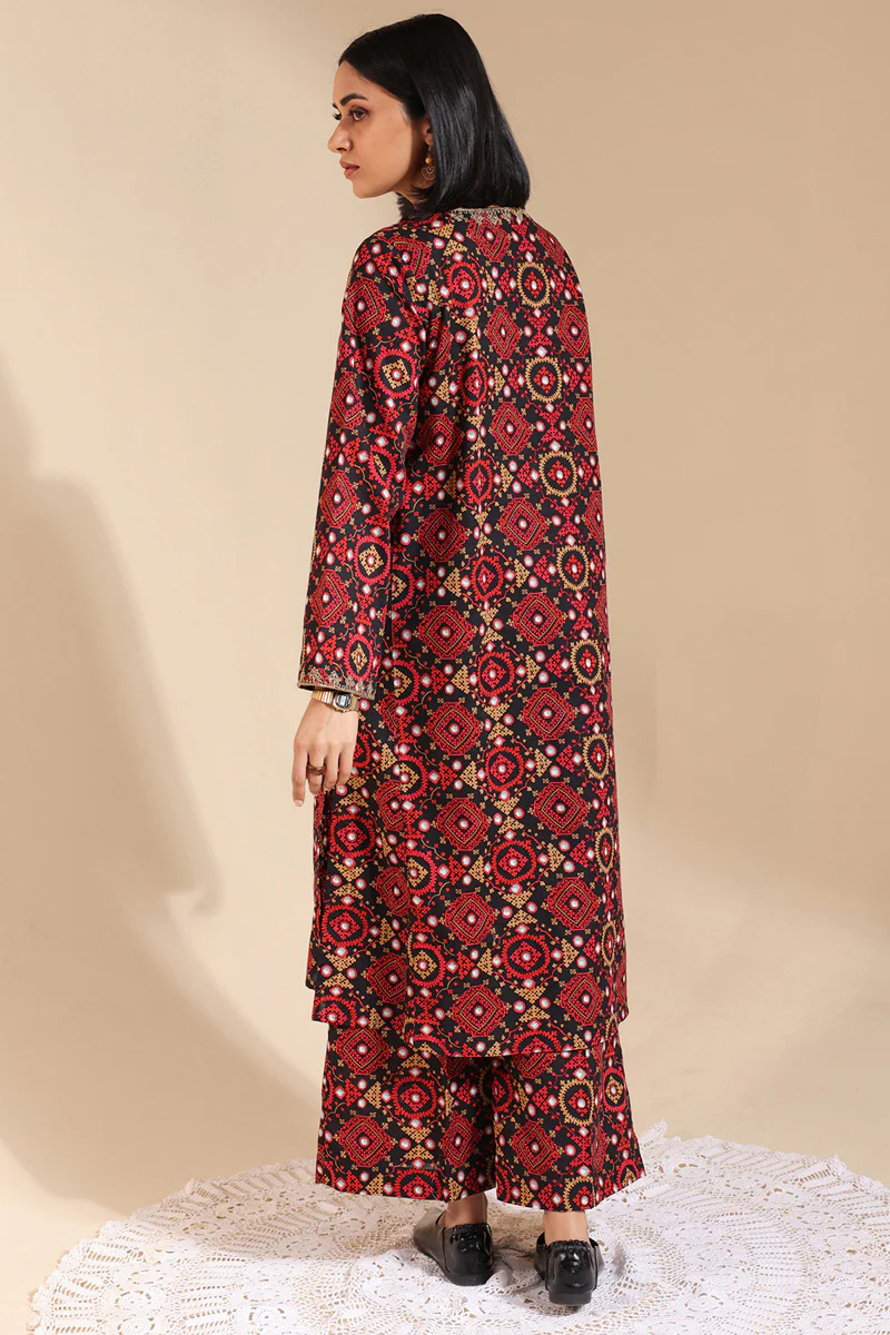 Soul of Sindh Duo-Set - Image 2