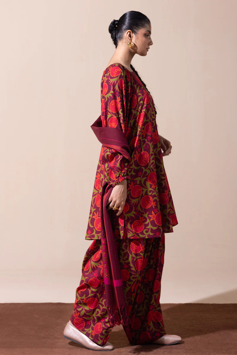 Anar Rang Suzani Set - Image 13