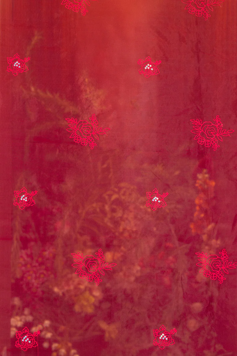 Sequin Saaz Dupatta - Image 3