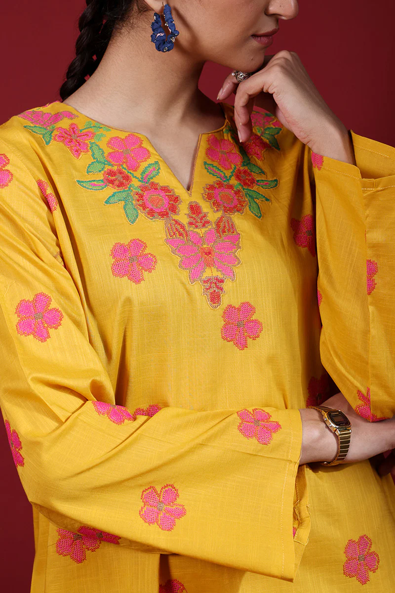 Pyari Paras Embroidered Set - Image 5